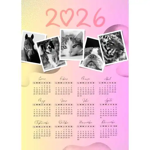 Calendario 2026 15x20 - Imagen 5